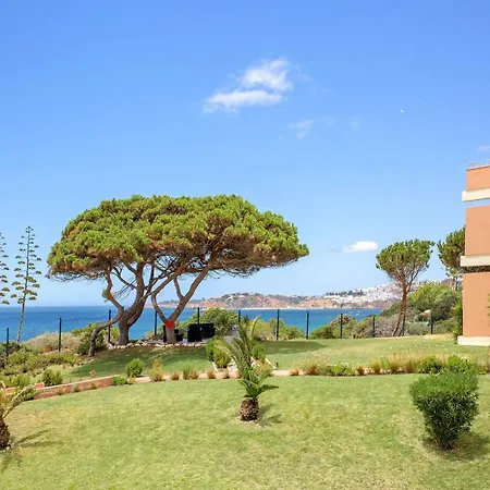 Auramar 3*